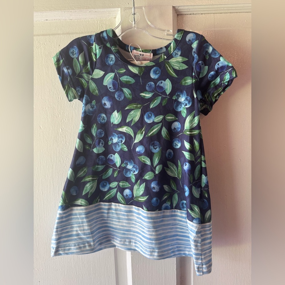Blue and Green Floral Stripe Short Sleeve Dress